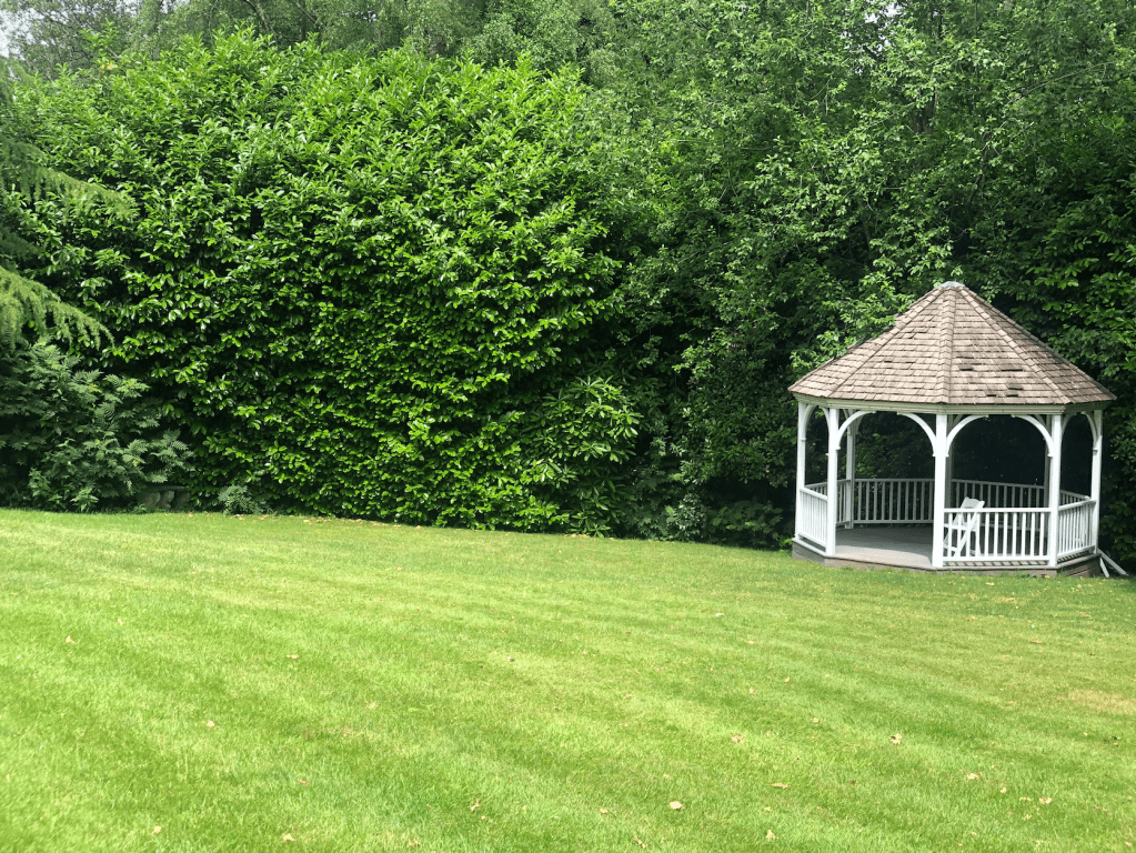 Shelley Suite lawn and gazebo at Alexander House Hotel