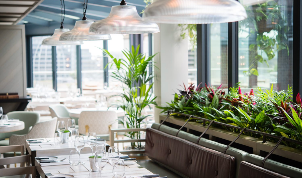 Mercer Roof Terrace